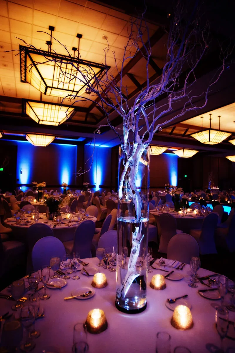 Reception room with blue uplighting